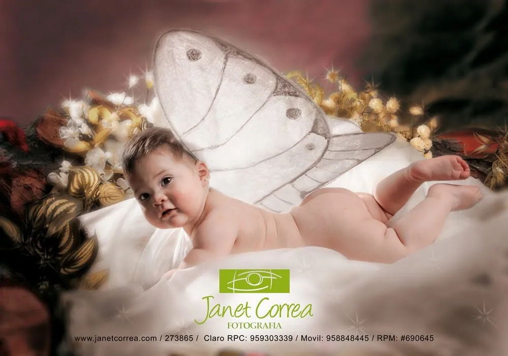 JANET CORREA / fotografía profesional: Sesion Artistica para bebes