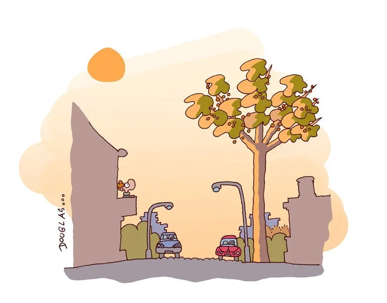 El Jardín de Douglas: Naranja, el sol de la tarde... El Jardín de Douglas: Naranja, el sol de la tarde...