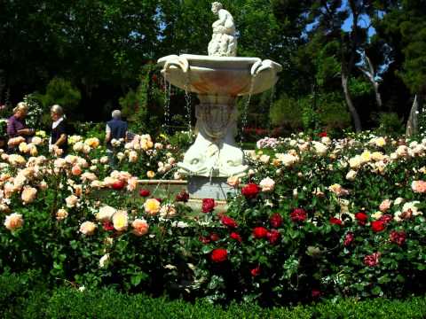 Jardín del Retiro Madrid. Rosaleda. HD-3D. Arte y Jardinería ...
