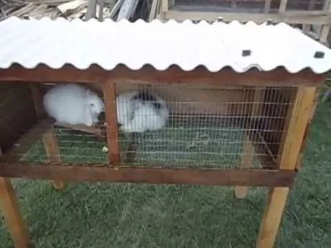 Jaula ideal para 2 hasta 5 Mascotas Conejos - Cuyes - YouTube