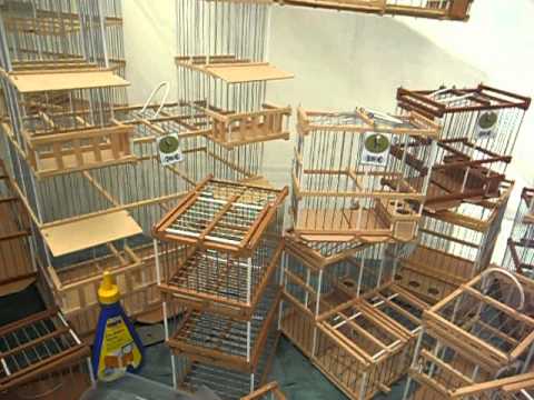 jaulas artesanales de madera para pajaros - YouTube