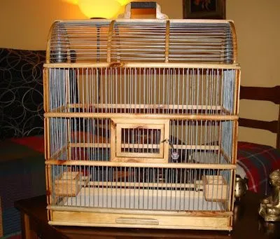 Como hacer una jaula para pájaros - Imagui