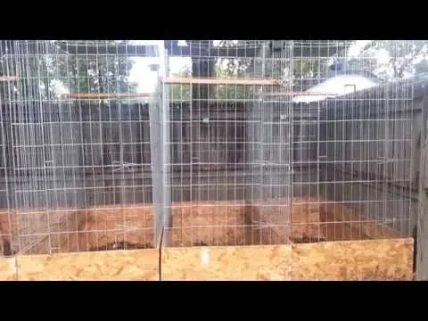 jaulas para gallos de pelea - Youtube Downloader mp3