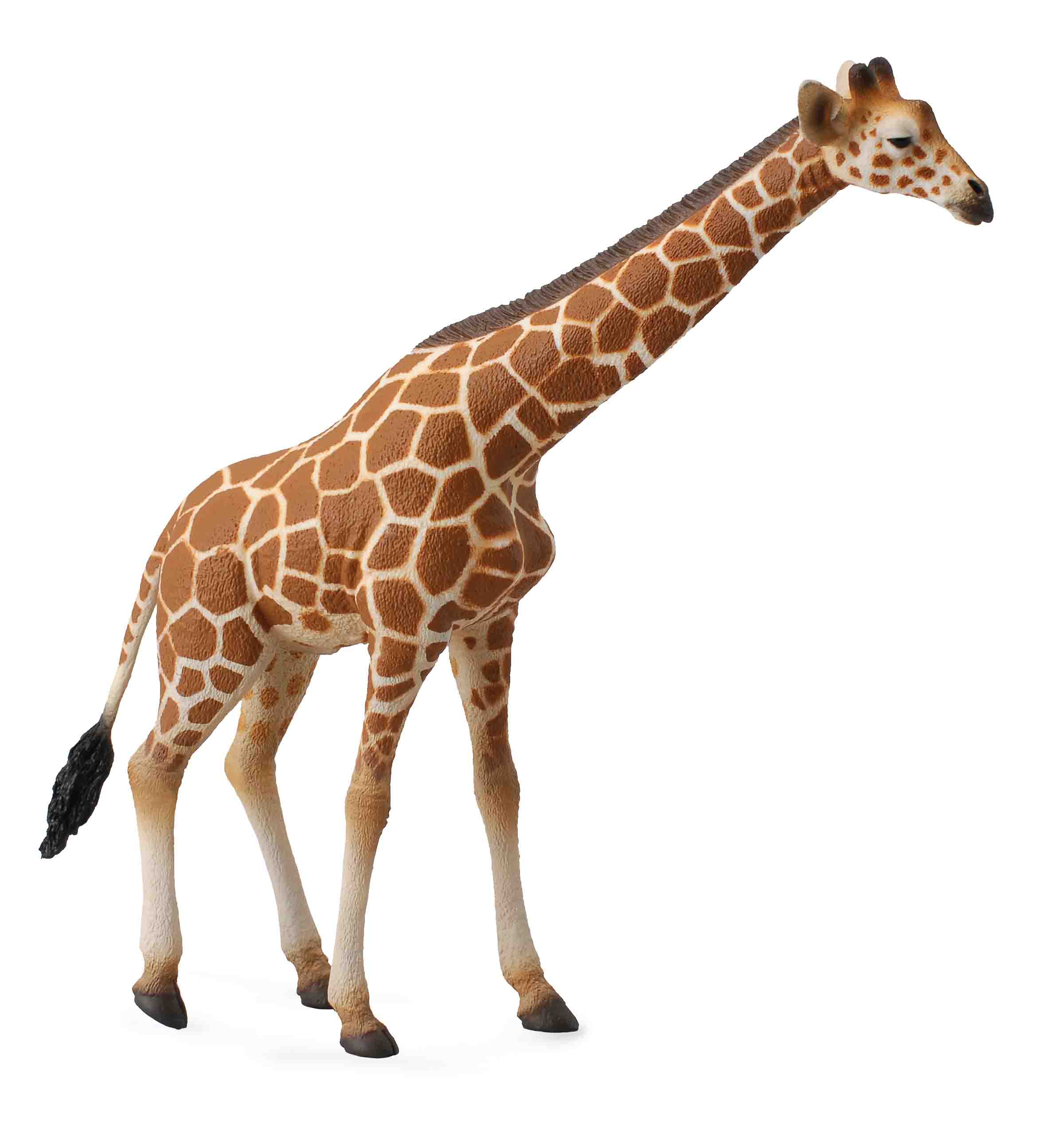 Jirafa - Collecta Figures: Animal Toys, Dinosaurs, Farm, Wild, Sea ... Jirafa - Collecta Figures: Animal Toys, Dinosaurs, Farm, Wild, Sea ...