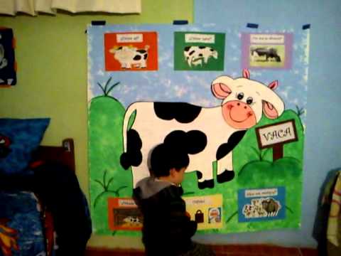 Josue exposicion de la vaca - YouTube