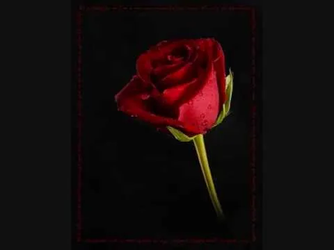 Juan Gabriel - Esta Rosa Roja - YouTube