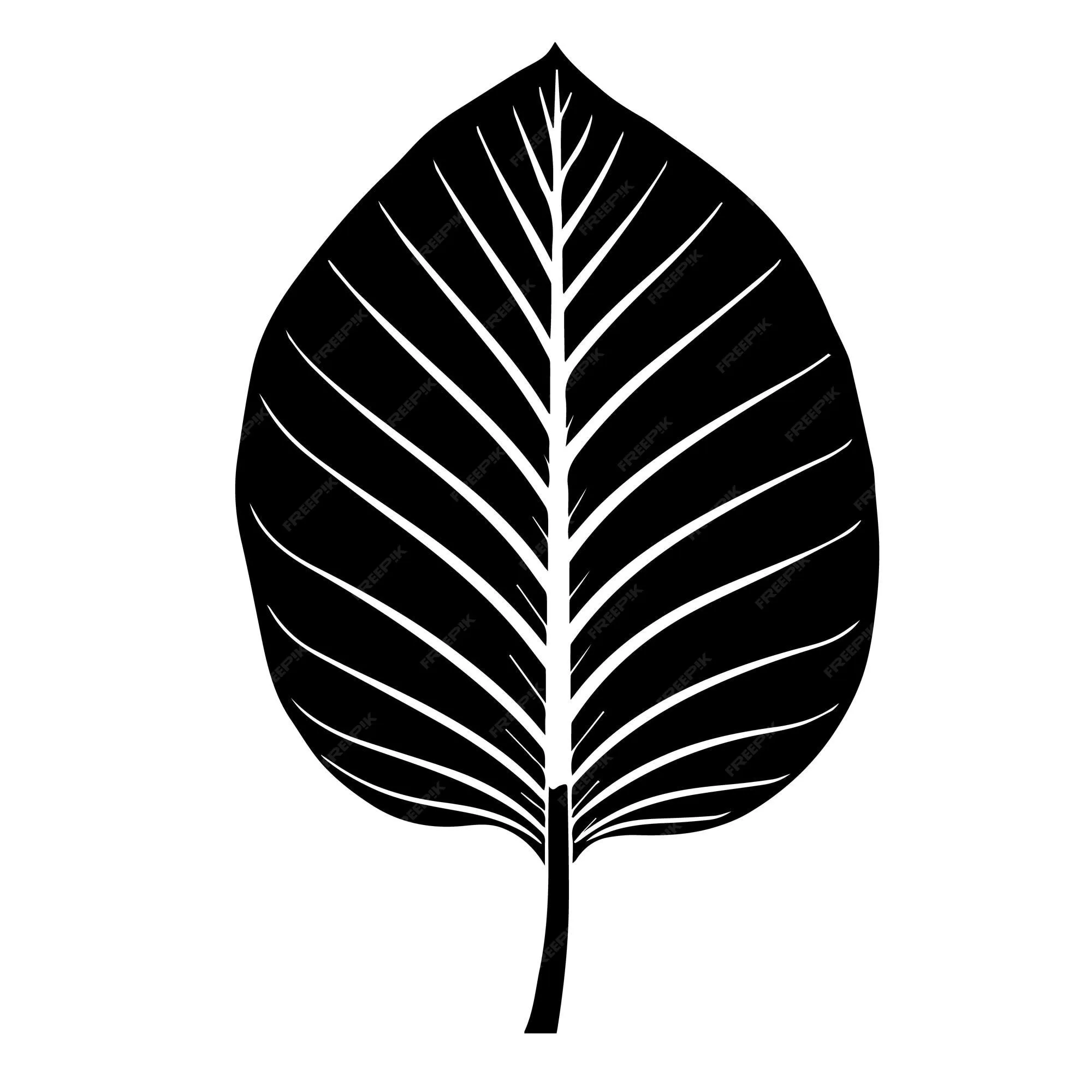 Juego de plantillas vectoriales en blanco y negro de hoja de árbol de  caucho para cortar e imprimir | Vector Premium