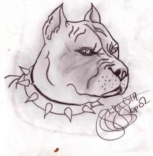 Dibujo de un perro pitbull a lapiz - Imagui