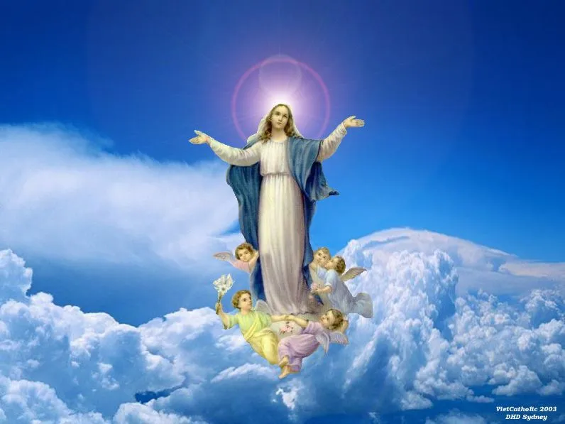 juventude CATOLICA33: Papel de parede- Nossa senhora - juventude CATOLICA33: Papel de parede- Nossa senhora -