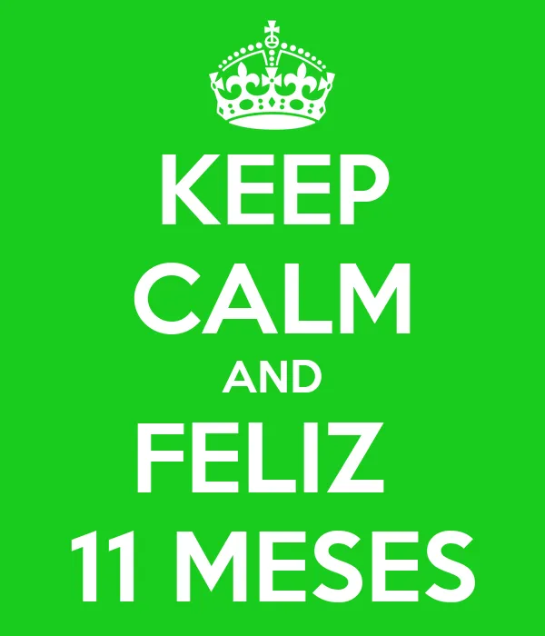 KEEP CALM AND FELIZ 11 MESES - KEEP CALM AND CARRY ON Image Generator
