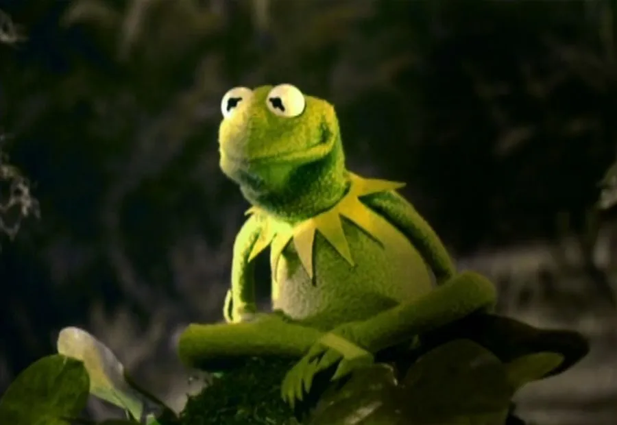 Kermit the Frog - Muppet Wiki