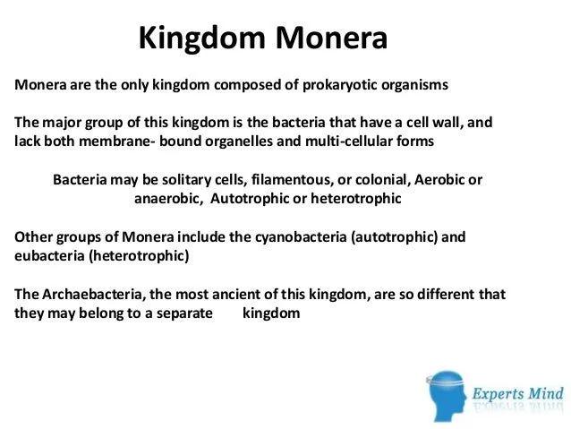 Kingdom monera