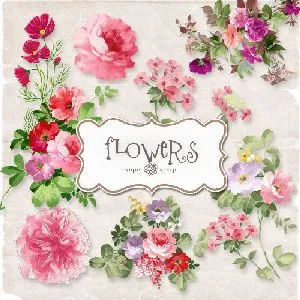 Kits vintages de rosas flores etiquetas para diseño en PNG