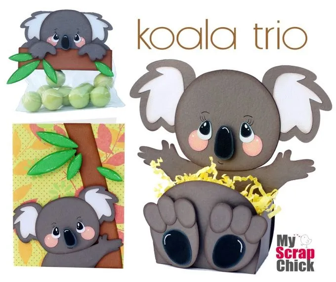 Koala Belly Box Trio | Foami | Pinterest