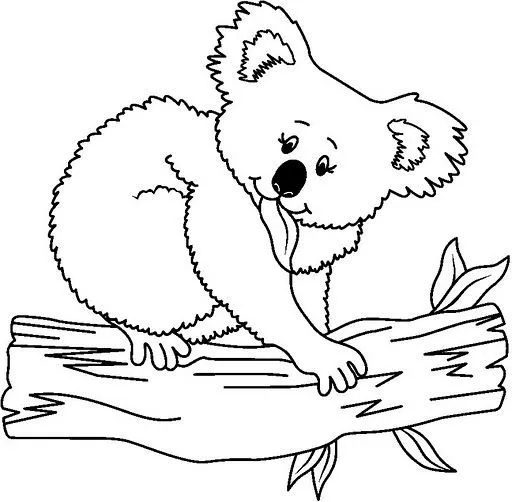 Dibujos de koalas tiernos para colorear - Imagui