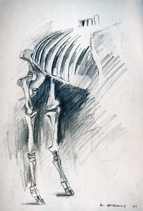 Dibujos de esqueletos a lapiz - Imagui