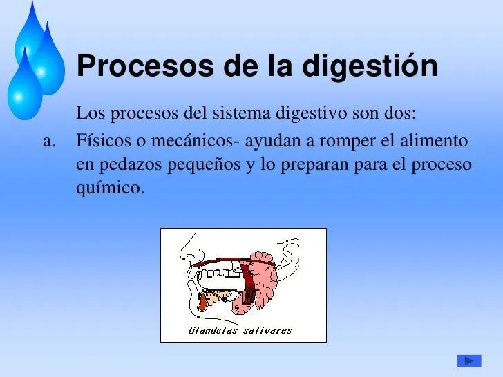 la-digestion-2-728.jpg?cb= ...