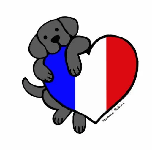 Labrador negro y dibujo animado francés del corazó imán ...