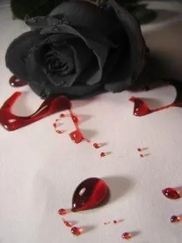 Lágrimas Góticas :..: ------CAMINO DE ROSAS Y ESPINAS------- Lágrimas Góticas :..: ------CAMINO DE ROSAS Y ESPINAS-------