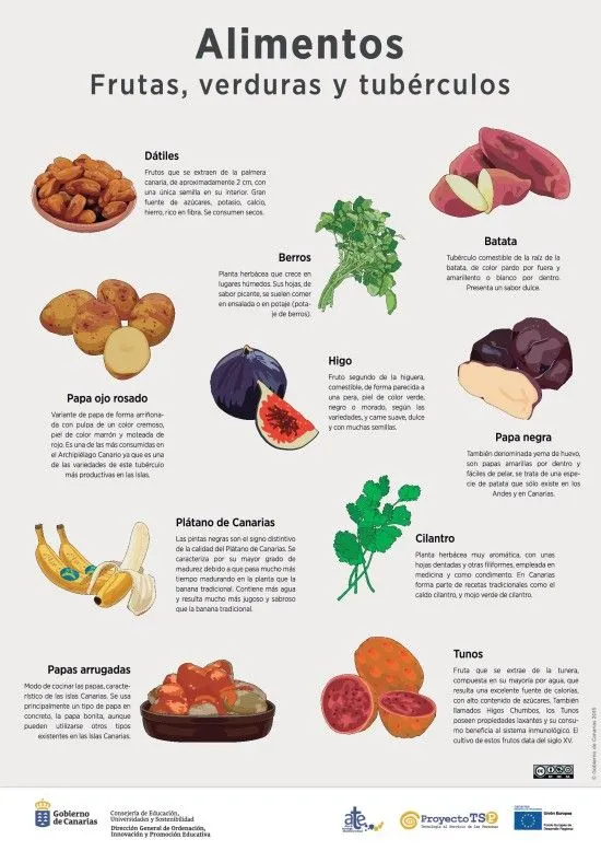 Lámina: Alimentos frutas y verduras » Recursos educativos digitales