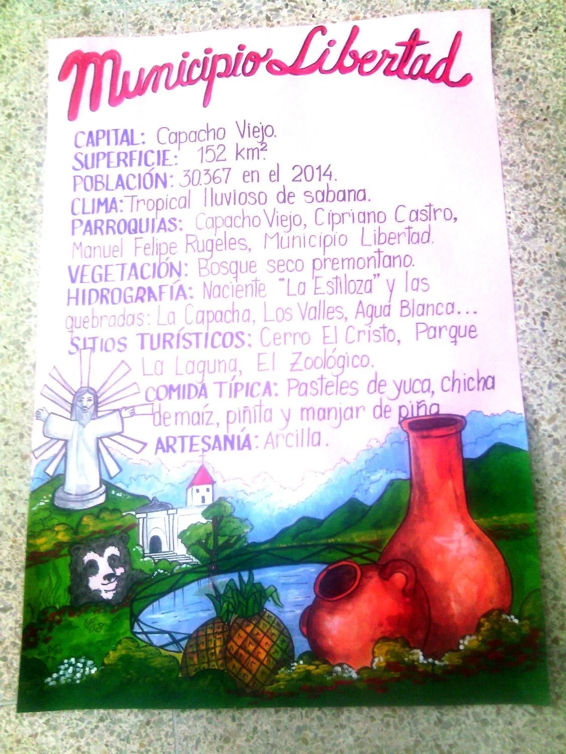 Lámina para exponer sobre el municipio Libertad, estado Táchira, Venezuela.  #mismanualidades #misideas #mistrabajosescolares #misdibujos… | Book cover,  School, Expo
