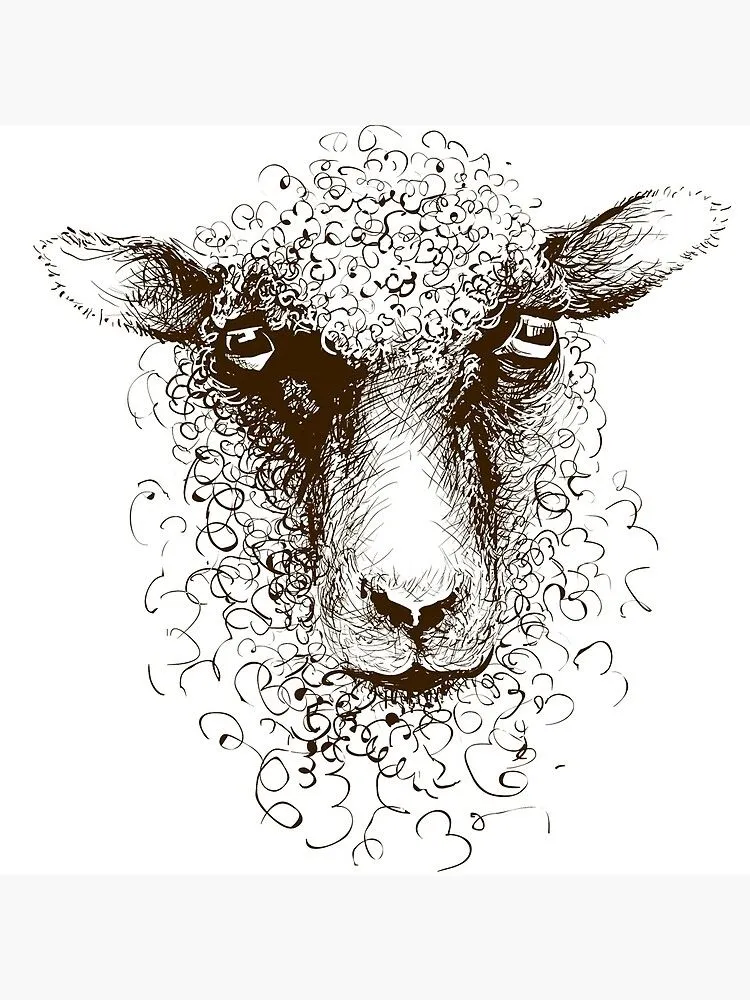 Lámina rígida for Sale con la obra «Retrato de cabeza de cordero de oveja.  Dibujo de tinta de cara de animal» de Arija07 | Redbubble