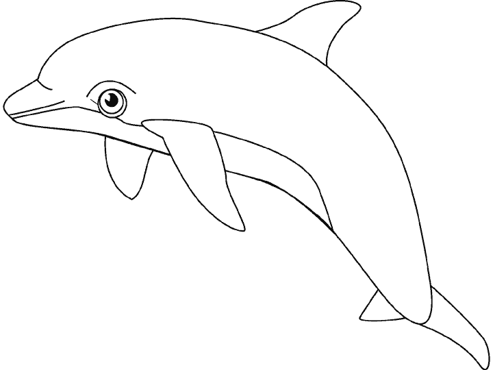 Animales vertebrados peces dibujos - Imagui