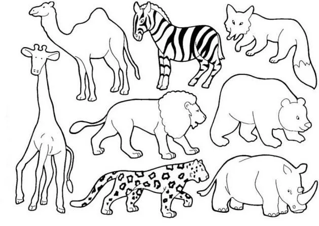 LAMINAS PARA COLOREAR - COLORING PAGES: Animales para dibujar ...