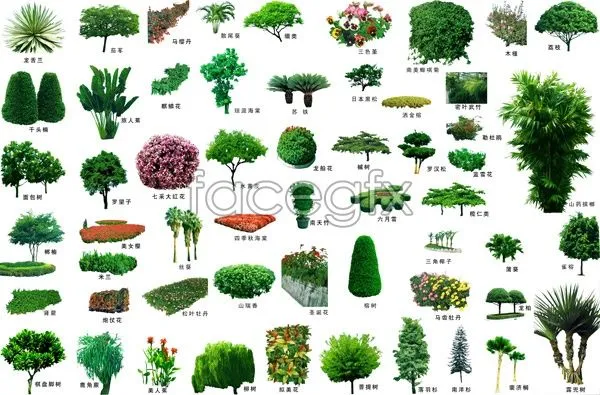 Landscaping trees PSD | Plantas | Pinterest