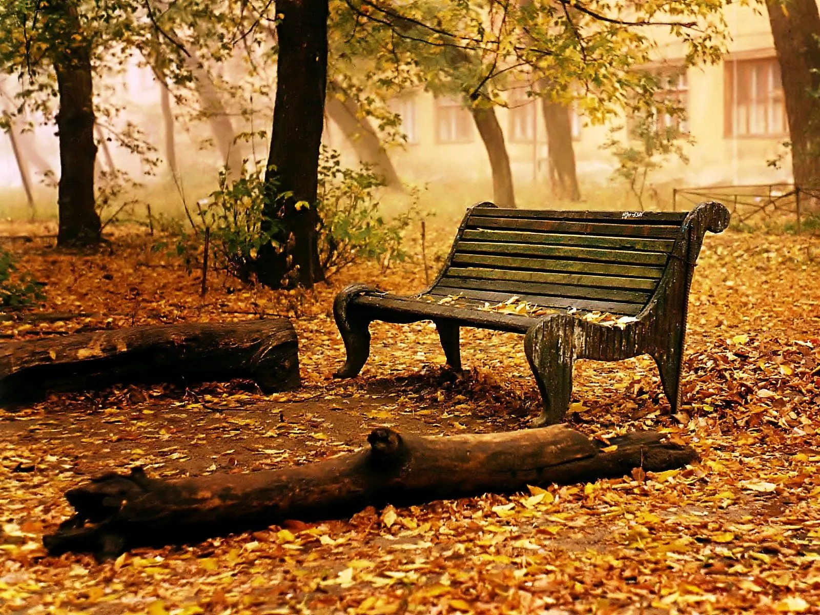 LAP ..Mas haya del Crepúsculo !: El otoño by LAP LAP ..Mas haya del Crepúsculo !: El otoño by LAP