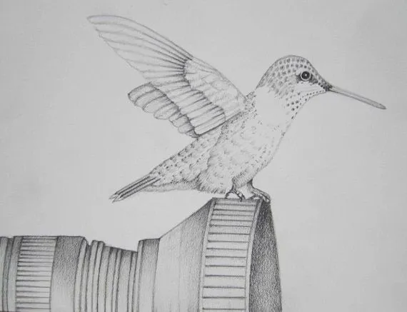 Lápiz arte trabajo colibrí posado en una cámara por pencilartwork