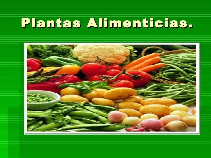 SciSeek - Web - plantas alimenticias