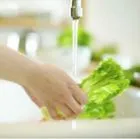 Lavar cuidadosamente las verduras y frutas ya que los nitratos son ...