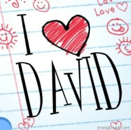 lazorrapeeolapa: David te amo mas nadiee