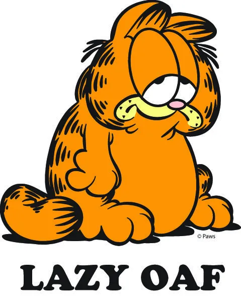 Lazy Oaf x Garfield | Complejo de "it girl"