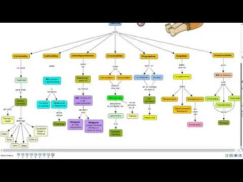 Lectura mapa conceptual- Derechos de las niñas y los niños - YouTube