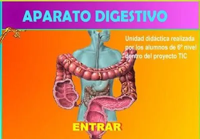 Leer, aprender, estudiar o imprimir APARATO DIGESTIVO para infantiles ...