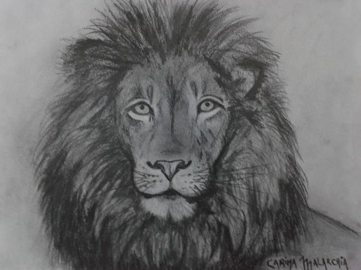 Dibujo leon y tigre a lapiz - Imagui