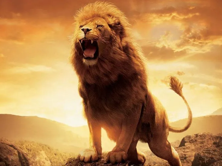 el leon de judaleon rugiendo | Leon Rugiendo Wallpaper - Trailers ...