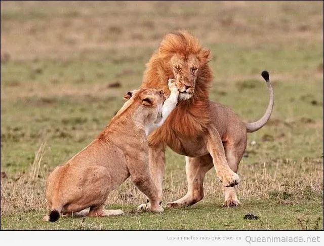 Crítica de un lector, sin censura | Sembrando La Molestia Crítica de un lector, sin censura | Sembrando La Molestia