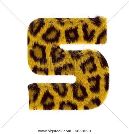 Leopard print fur number Stock Photo & Stock Images | Bigstock