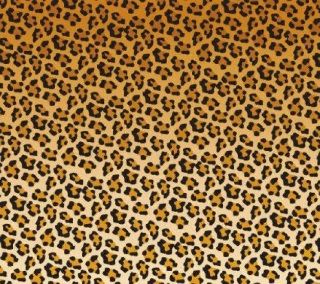 Leopard spots patrón | Descargar Vectores gratis