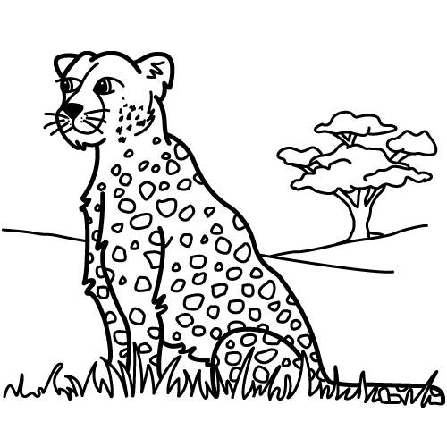 Leopardo da colorare - Imagui