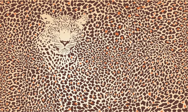 Leopardo de fondo de patrón — Vector stock © vlado #10950933