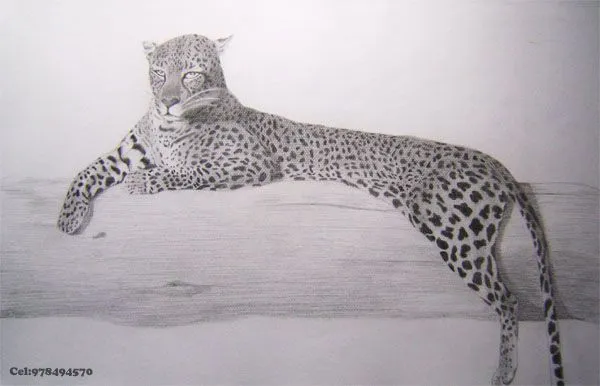 Leopardo | obregonarte