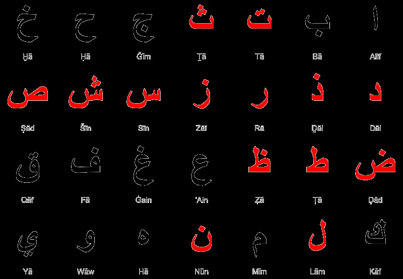 árabe | alfanje