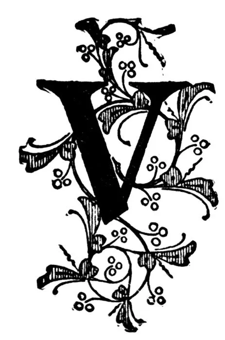 Letter with V's on Pinterest | Letters, Initials and Alphabet