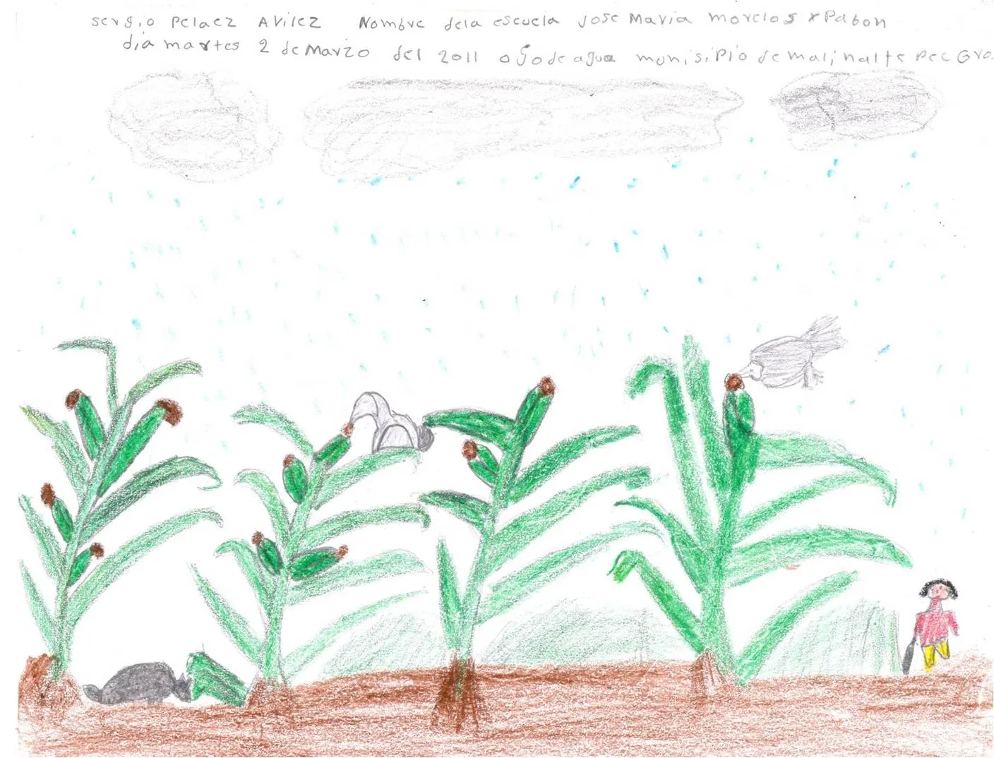 El libro de la Milpa | Educación Intercultural El libro de la Milpa | Educación Intercultural
