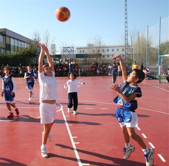 Liga Escolar Baloncesto Dénia
