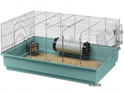Cómo limpiar la jaula del Hamster? | Como Limpiar